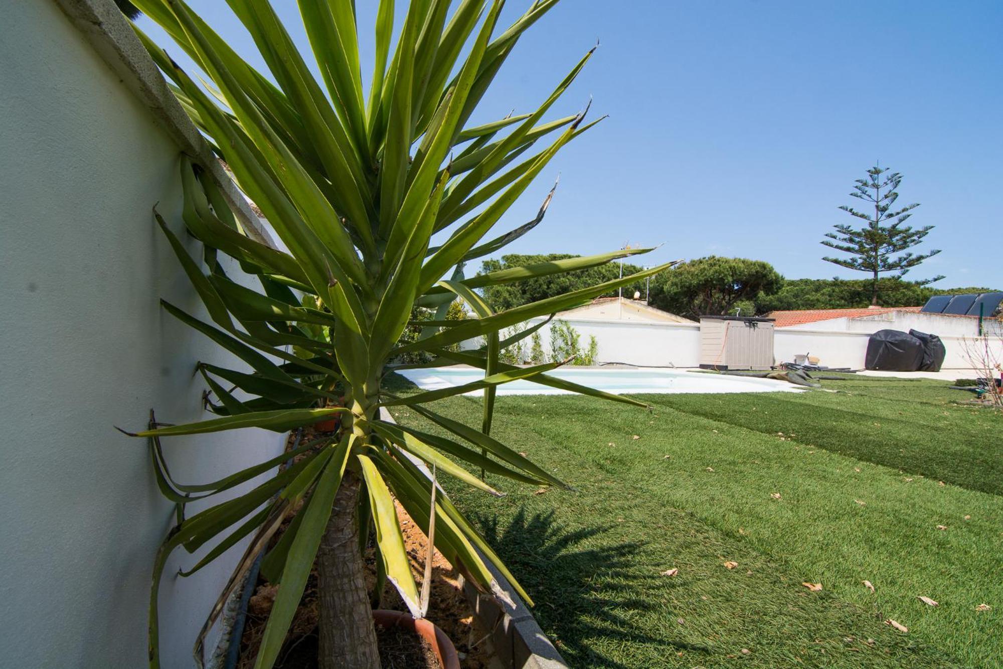 Chalet Individual En El Rompido Urb Urverosa מראה חיצוני תמונה